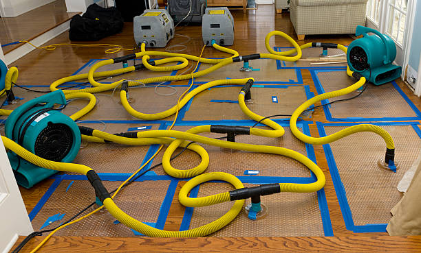 Professional Crawl Space Water Removal technician working in Farley, MO